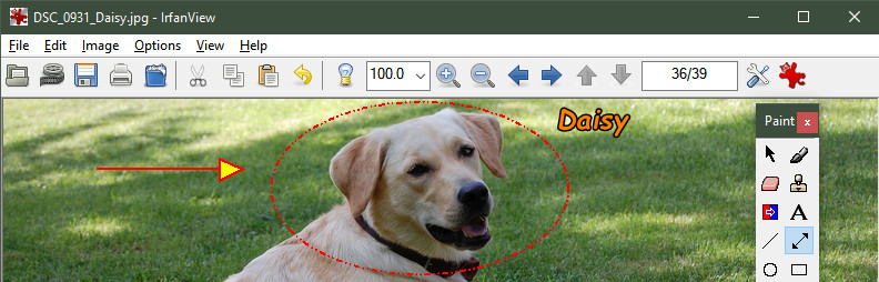 1747811748418335.png