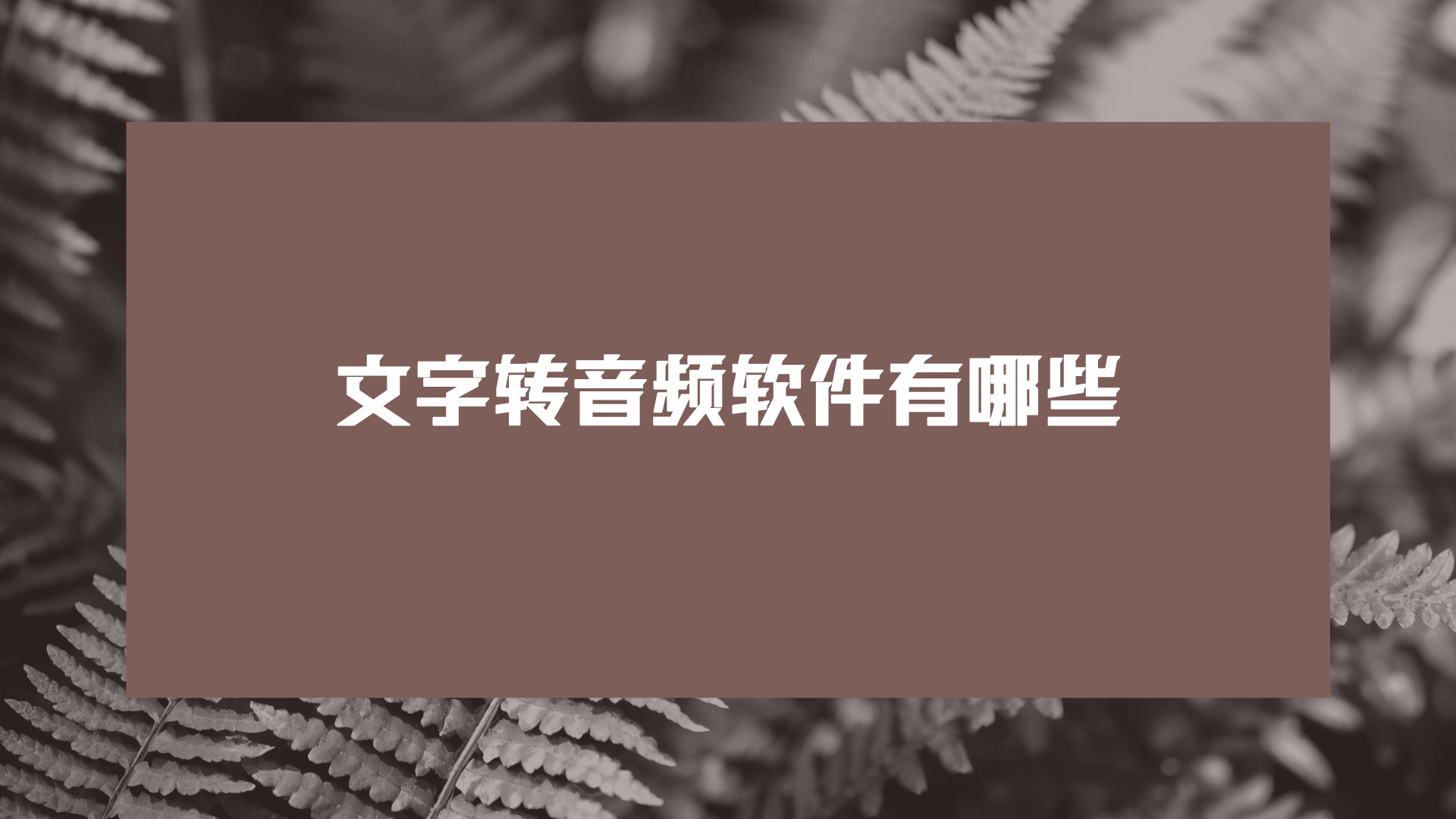 1778502048654879.png